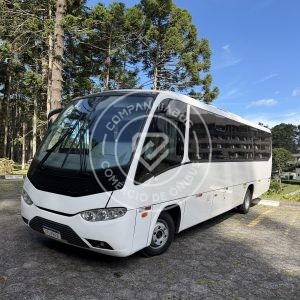 MARCOPOLO SENIOR 2014